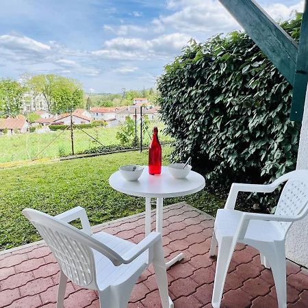 Studio Eglantine A Cambo-Les-Bains, Proche Thermes, Terrasse, Parking, Acces Internet, Animaux Ok - Fr-1-495-106 Eksteriør bilde